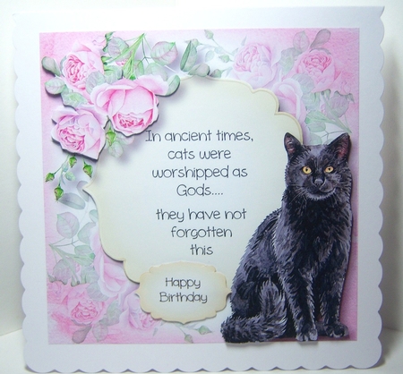 Cat Quotes Bumper Kit by Katie Silver