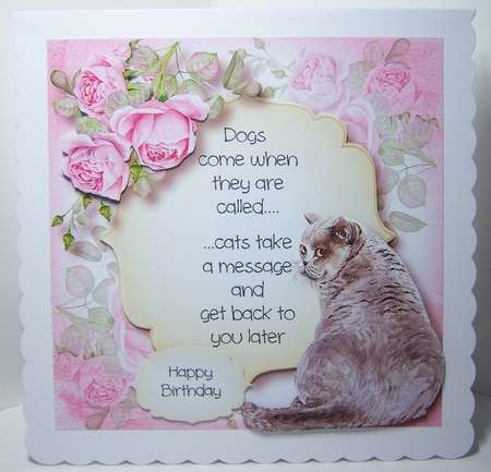 Cat Quotes Bumper Kit by Katie Silver