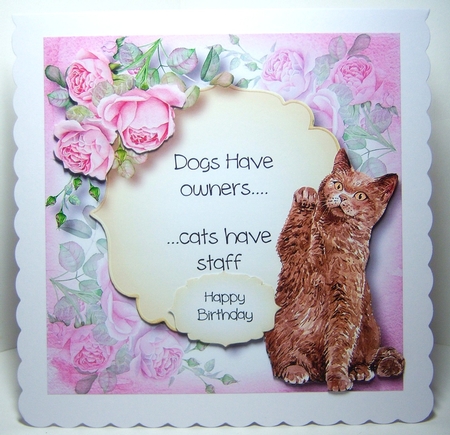 Cat Quotes Bumper Kit by Katie Silver