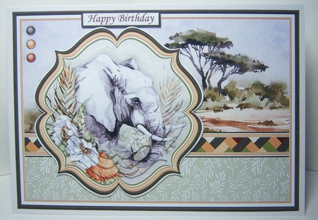 TAKE A WALK ON THE WILD SIDE A5 SAFARI ANIMALS BUMPER KIT by Katie Silver