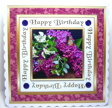 SC Lilacs by Katie Silver