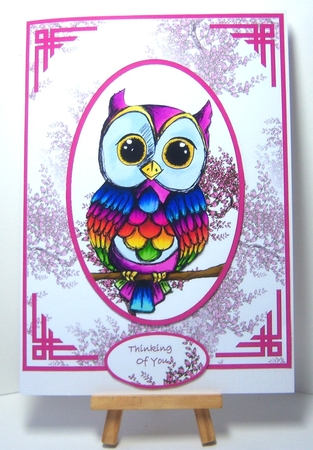 Rainbow Owl by Katie Silver
