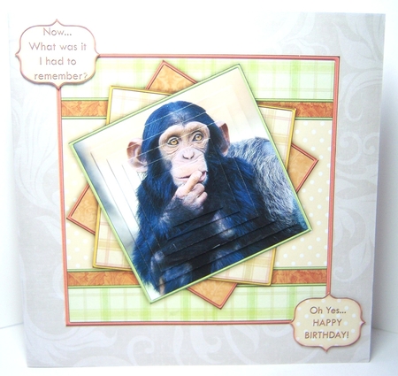 Funny Chimp Topper & Pyramid Decoupage by Katie Silver