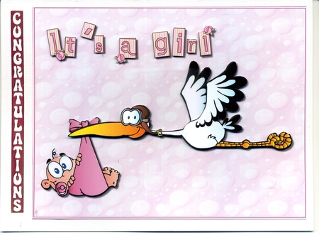 New Baby Girl by Katie Silver