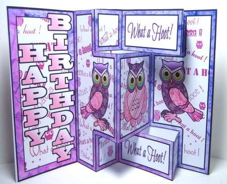 Shutter Surprise Card - What a Hoot (pink) by Katie Silver