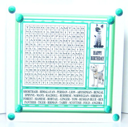 WORDSEARCH CATS by Katie Silver