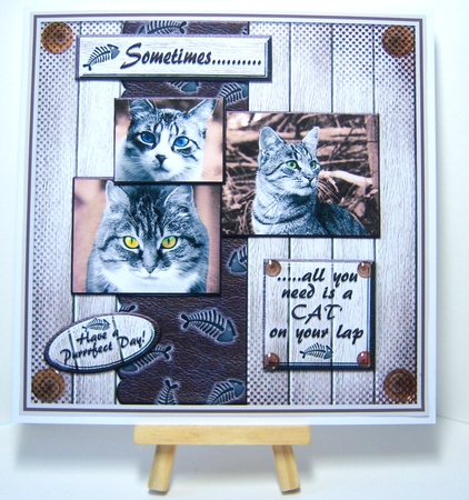 Sometimes.....Cats by Katie Silver