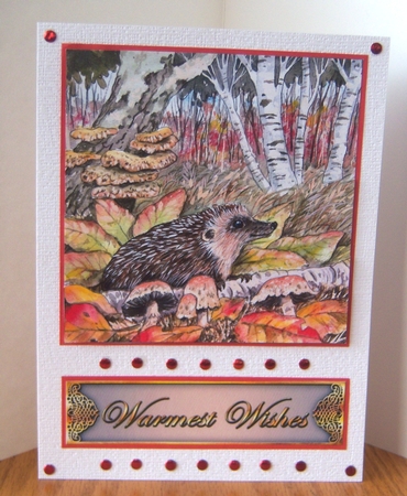 Trinitage - Hedgehog by Katie Silver