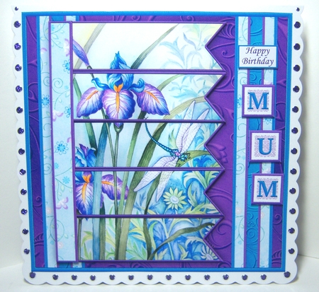 IRIS & DRAGONFLY 7.5 Alphabet and Age Quick Card Kit Create Any Name by Katie Silver