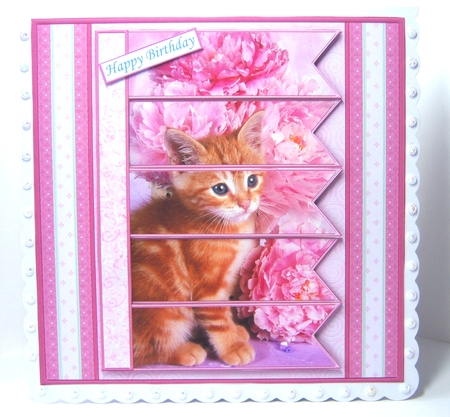 KITTEN & FLORALS 7.5 Alphabet and Age Quick Card Kit Create Any Name by Katie Silver