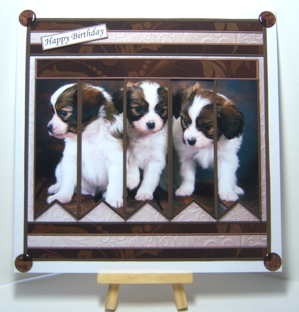 PUPPIES 7.5 Alphabet and Age Quick Card Kit Create Any Name by Katie Silver
