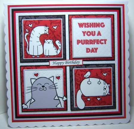 PURRFECT DAY SQUARES All Occasions 7.5 Quick Layer Card & Insert Mini Kit by Katie Silver