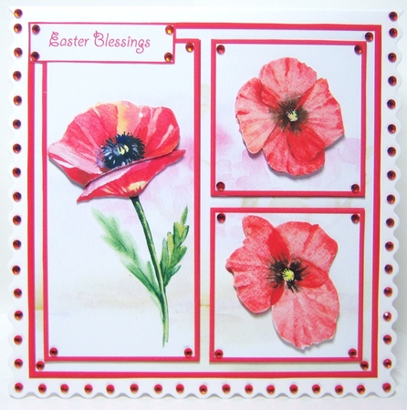 Wild poppy 7x7 card by Katie Silver