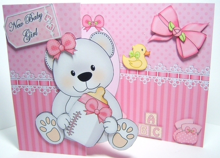 3D Shaped No-Hole Fold Back Mini Kit -   New Baby Girl Teddy by Katie Silver