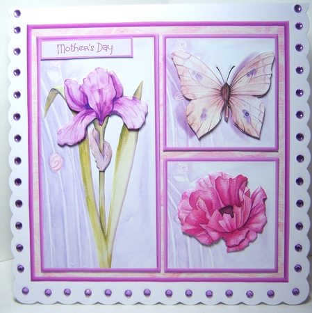 Summer flowers and butterfly by Katie Silver