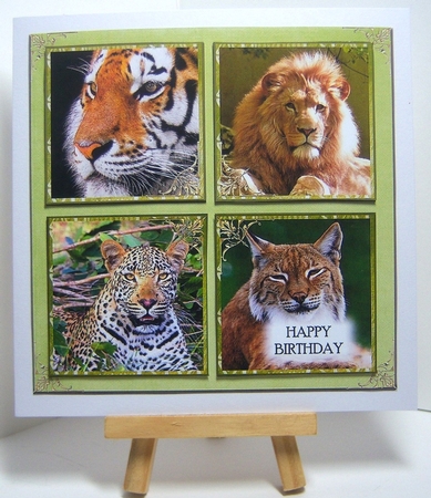 Big Cat Glorious by Katie Silver