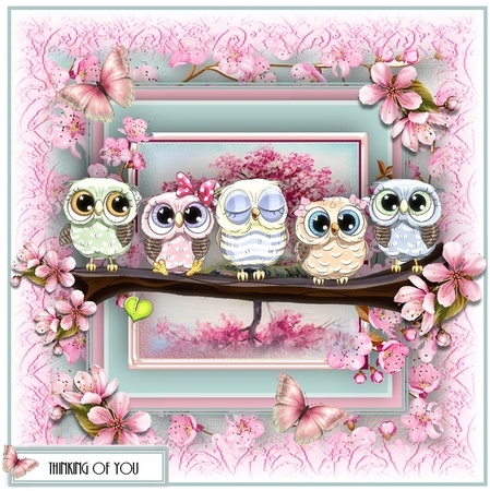 Cherry Blossom Owls Card Kit by Katie Silver