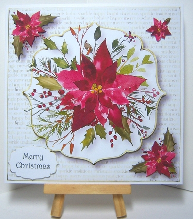 White & Gold - Scarlet Poinsettia 8x8 by Katie Silver