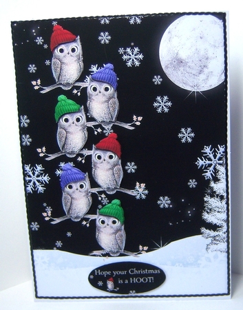 Hope Your Christmas is a Hoot by Katie Silver