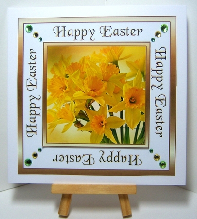 SC Easter Daffodils by Katie Silver