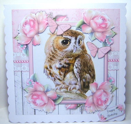 Beautiful Brown Owl  With Pink Roses 8x8 Mini Kit by Katie Silver