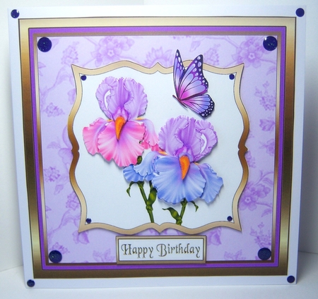 SC Pretty Irises by Katie Silver