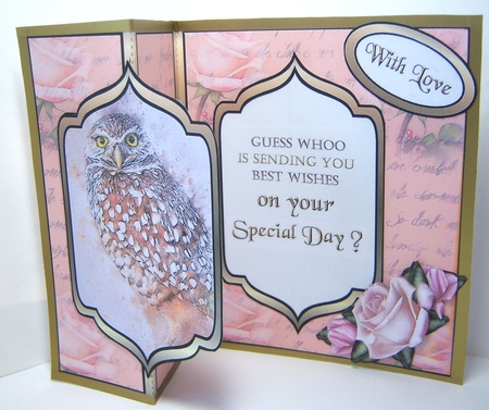 FB Baby Owl by Katie Silver