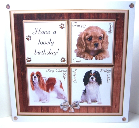 Gorgeous King Charles Cubes 8x8 Mini Kit by Katie Silver
