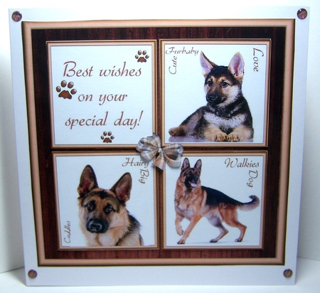 Gorgeous Alsatian  Cubes 8x8 Mini Kit by Katie Silver
