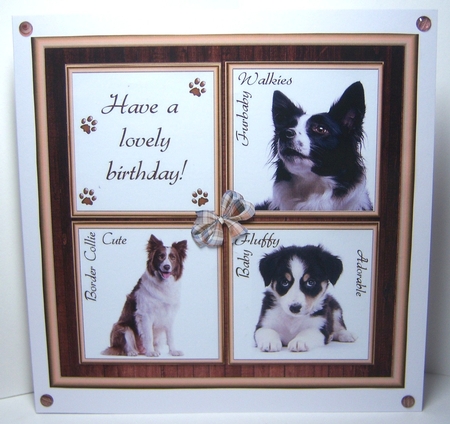 Gorgeous Border Collie Cubes 8x8 Mini Kit by Katie Silver