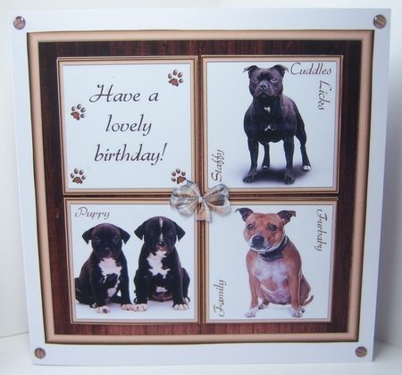 Gorgeous Staff Cubes 8x8 Mini Kit by Katie Silver
