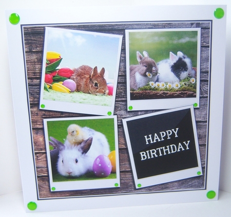 BUNNIES by Katie Silver