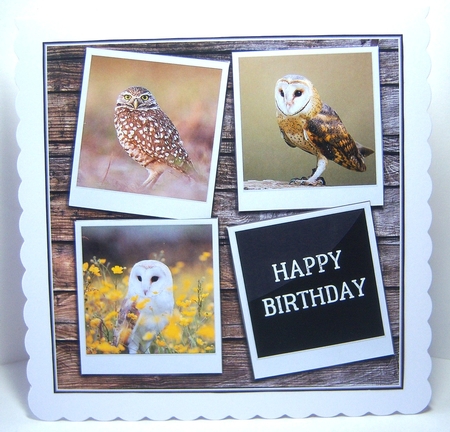 WISE OWLS by Katie Silver