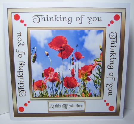 Sc Poppies by Katie Silver