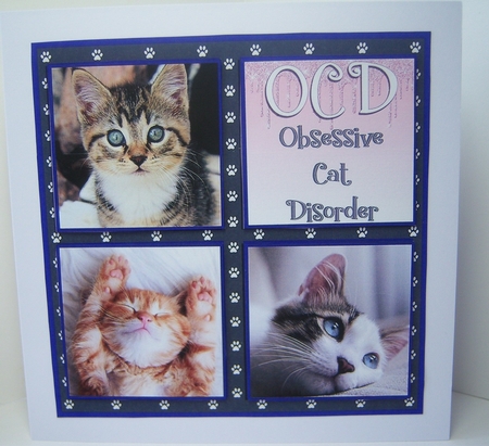 LOVE CATS 6X6 by Katie Silver