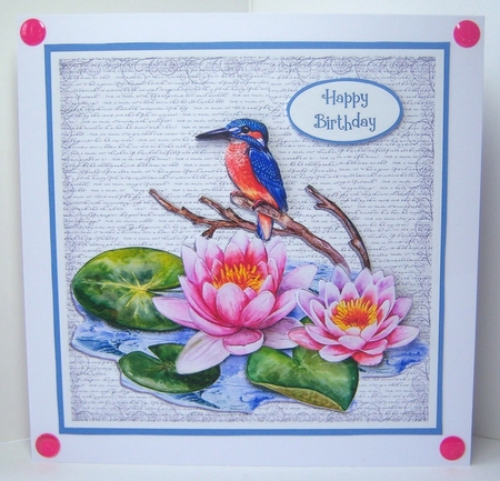 THE KINGFISHER 6x6 by Katie Silver