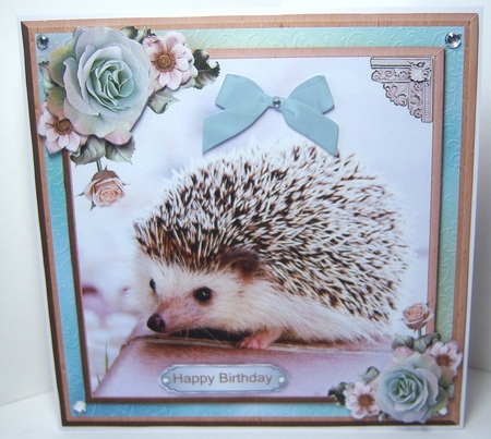 Cute hedgehog card mini kit & decoupage by Katie Silver
