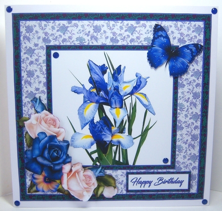 SC Blues Irises by Katie Silver