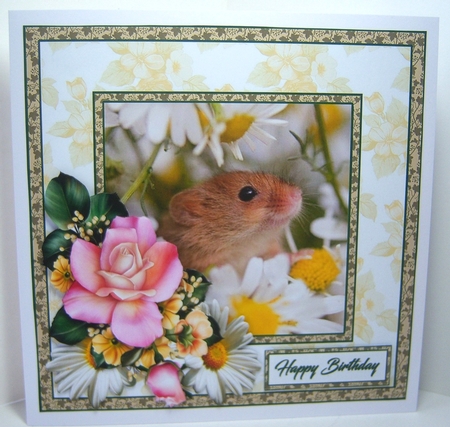 SC Field mouse by Katie Silver