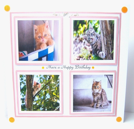 Its a cats Life by Katie Silver