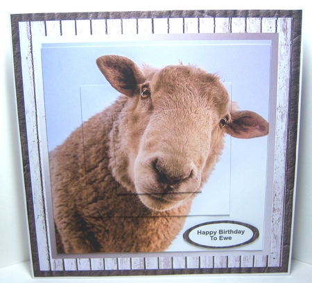 Baa to another birthday mini kit  by Katie Silver
