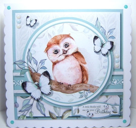 You`re Only Getting Wiser! by Katie Silver