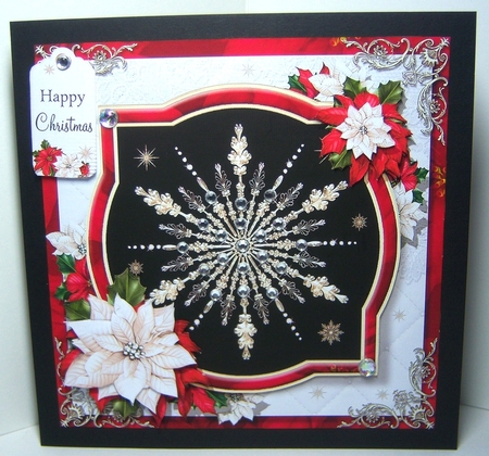 The Christmas Snowflake by Katie Silver