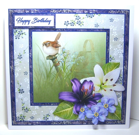 SC Little wren by Katie Silver