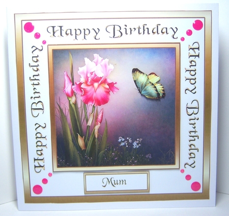 SC Pink irises by Katie Silver