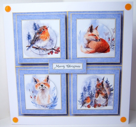 Once In The Forest Quad Frame by Katie Silver