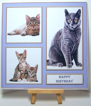 Black Cat and Kittens 7in x 7in by Katie Silver