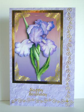 Crumpled Paper Pack by Katie Silver