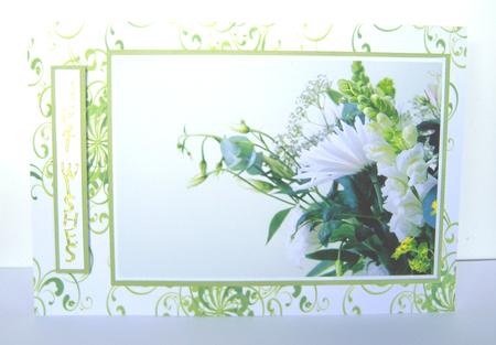 Seeing Double Paper Pack by Katie Silver