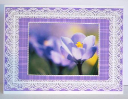 Lace Frame A5 Card Fronts - Plaids 4 by Katie Silver